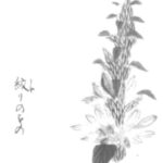ウツボグサの植物画